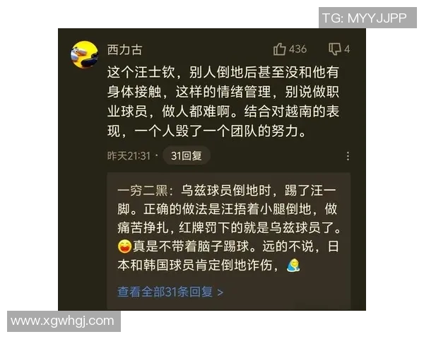 热议汪士钦直红事件：球场上脑残式申请红牌的背后原因分析