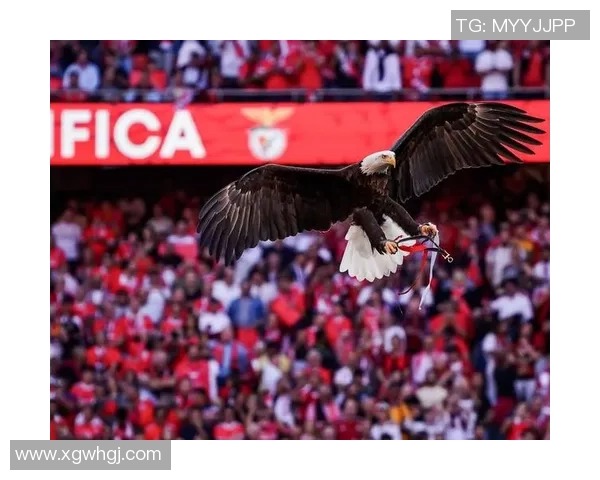 今日趣图:世一卫力劈华山展现十佳球实力曾效力凯尔特人风采依旧 今日趣图:世一卫力劈华山展现十佳球实力曾效力凯尔特人风采依旧